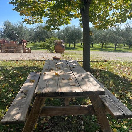 Penzion Le Ghiande Spello Exteriér fotografie