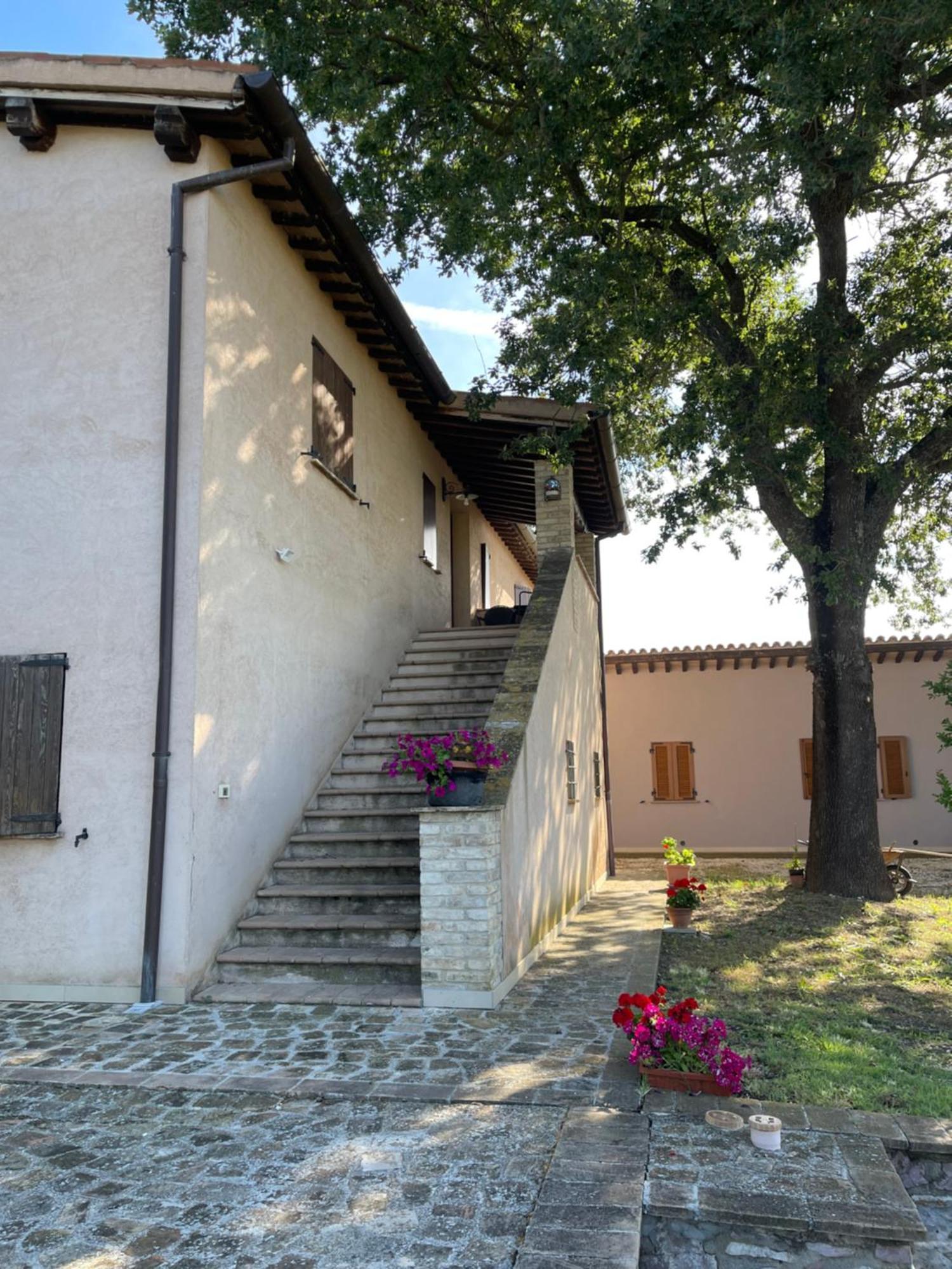 Penzion Le Ghiande Spello Exteriér fotografie