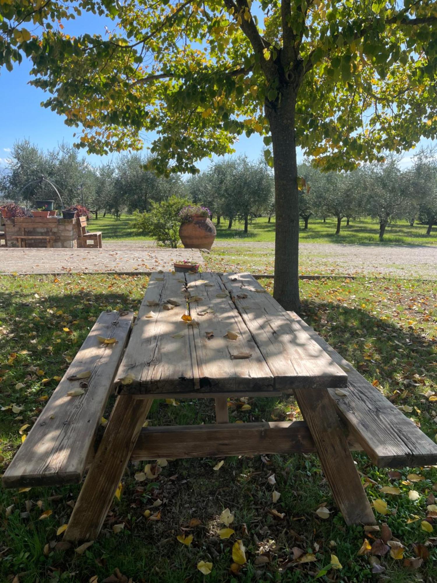 Penzion Le Ghiande Spello Exteriér fotografie