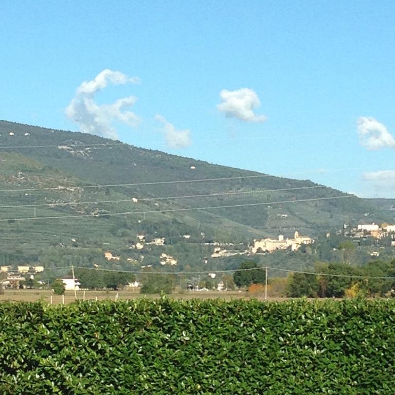Penzion Le Ghiande Spello Exteriér fotografie