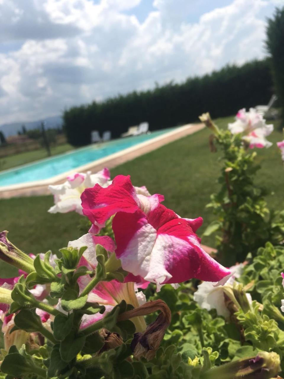 Penzion Le Ghiande Spello Exteriér fotografie